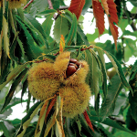 Prodhimi dhe Tregtimi