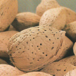 History of Almond