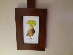 merkez-ofis-gorseli